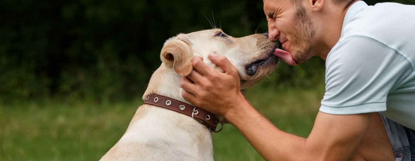5 ways dogs help veterans adjust to civilian life
