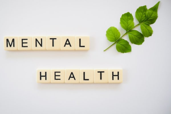 The Challenges of Mental Health & Wellness for Veterans